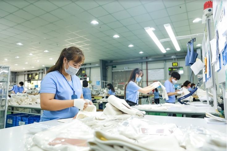 Seamless Bras Manufacturing - Vietnam Clothing Manufacturer