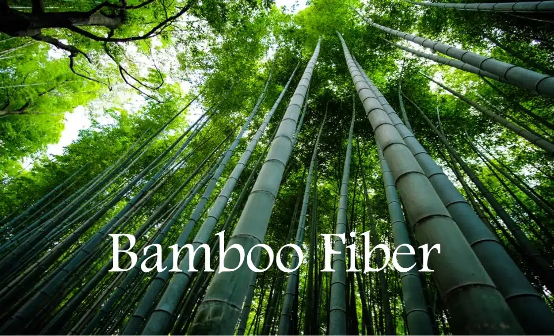 Bamboo Clothing Manufacturing 